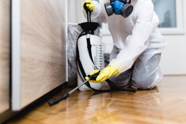 Best Flea Control Services  in Powell, OH