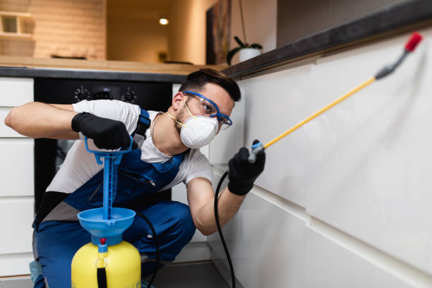 Best Termite Control Services  in Powell, OH