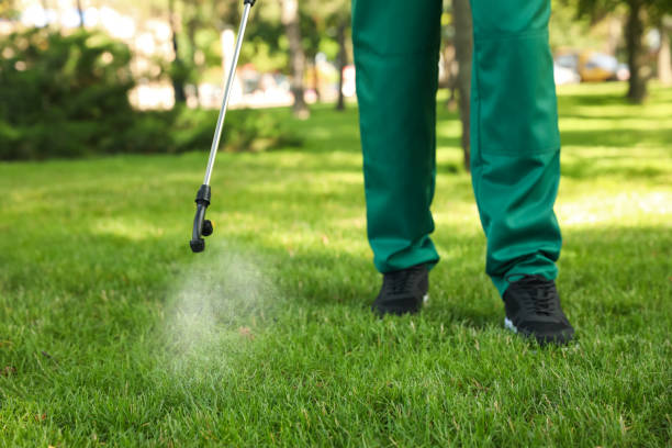 Best Exterminator Services  in Powell, OH