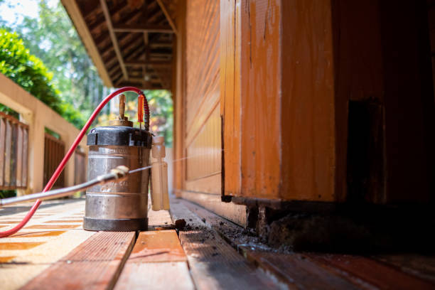 Best Wasp Removal Services  in Powell, OH