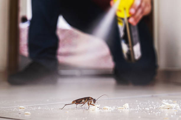 Pest Control Cost in Powell, OH