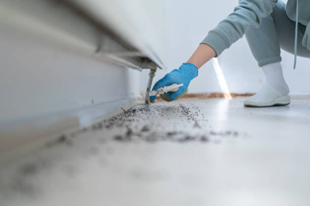 Best Pest Prevention Services  in Powell, OH